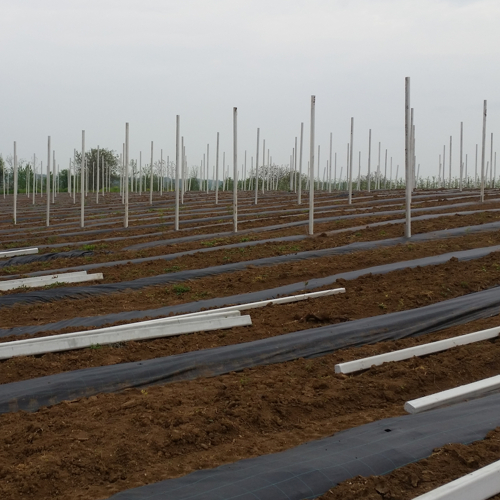 postavljanje protivgradne mreze