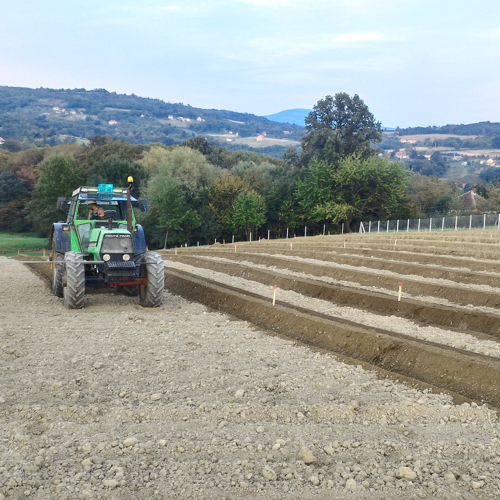 bank forming for blueberry planting
