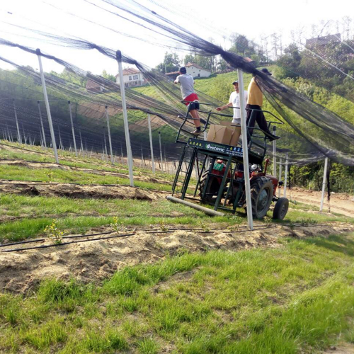 radnici na traktoru postavljaju protivgradne mreze