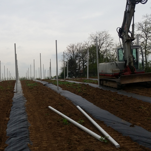 instalacija stubova protivgradne mreze na plantazi borovnica