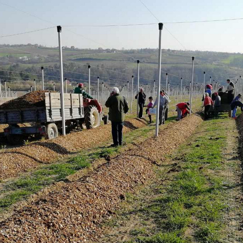 prekrivanje bankova mulch