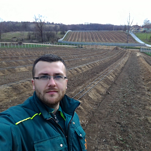 radnik ispred sadnica borovnica na bankovima
