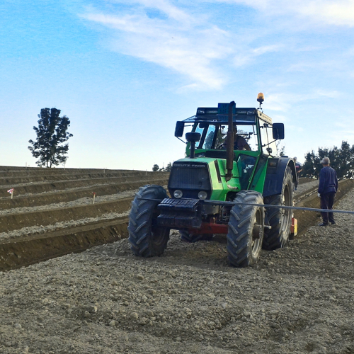 traktor formira bankove zasad borovnica
