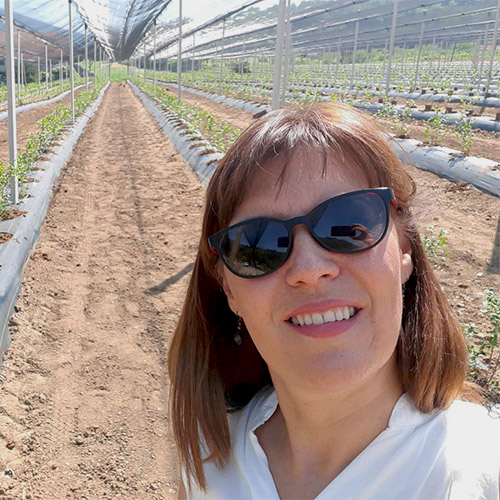 zena pravi selfi sa redovima borovnice u pozadini