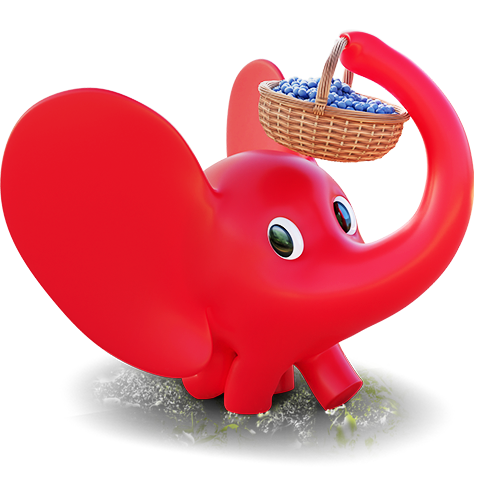 slonic uvo nosi korpu punu borovnica